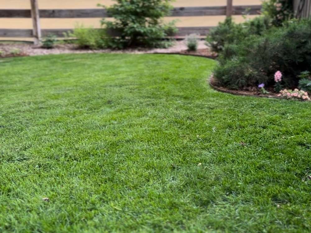 A freshly mowed back lawn meeting a curved mulched planting bed along a post-and-rail fence