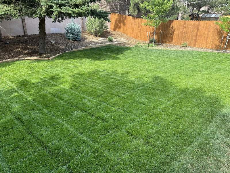 Edged turf beds on a Front Range residential lot