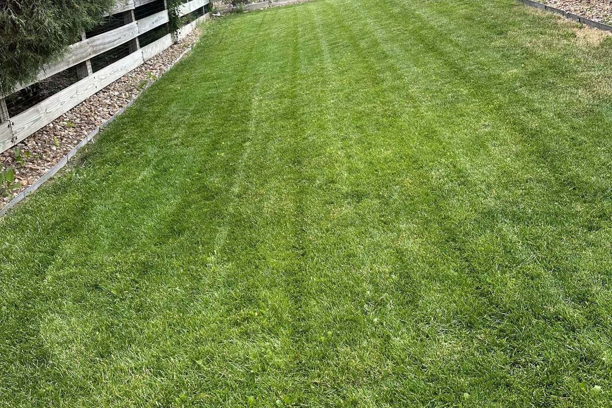 An open lawn on a Falcon property with the plains visible behind it