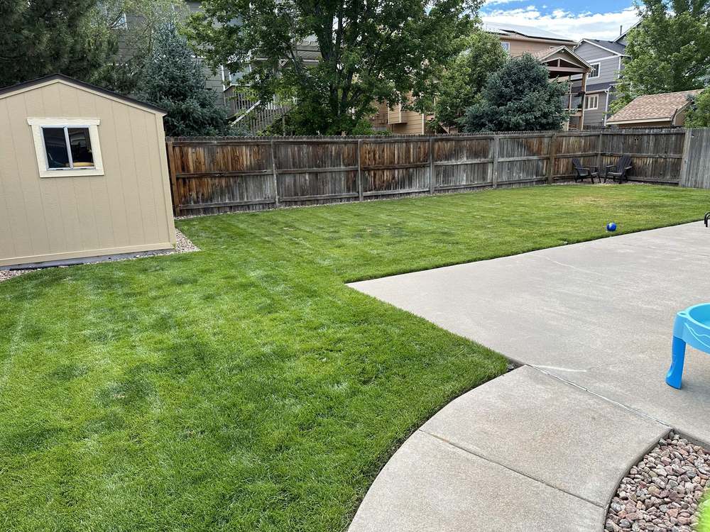 A backyard mowed in diagonal stripes beside a patio, shed, and gravel border