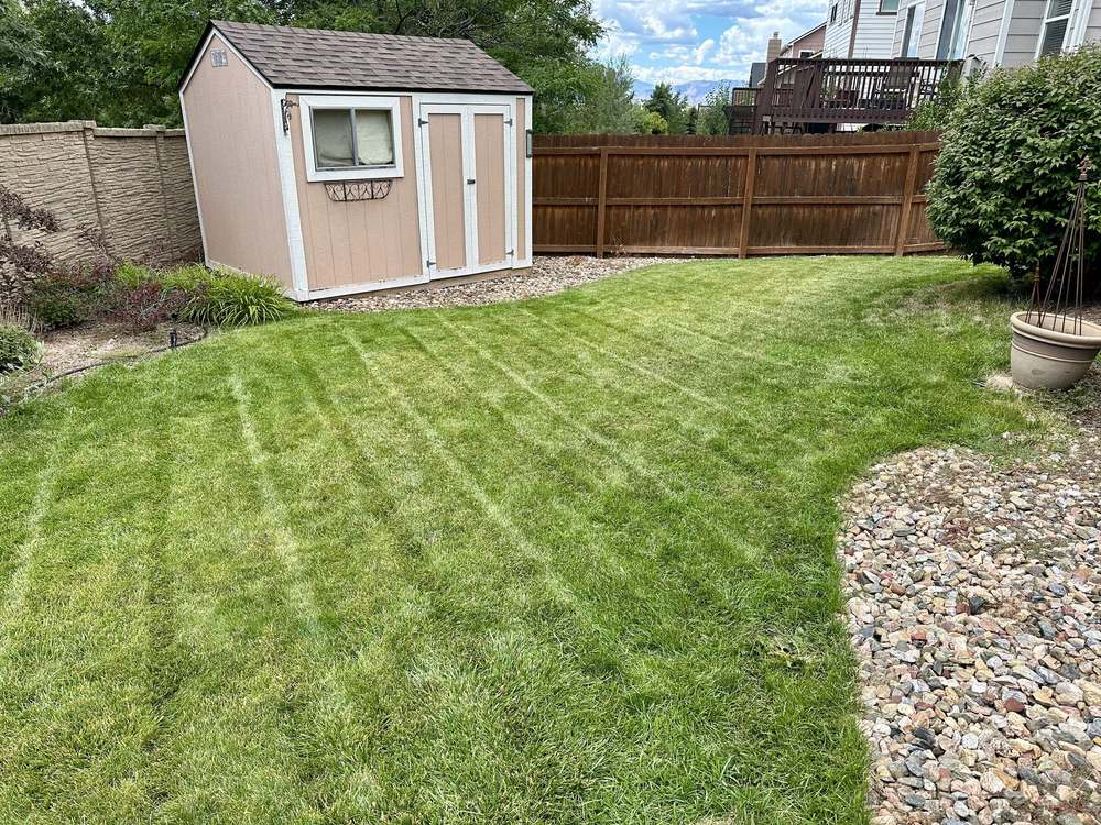 A striped lawn beside a shed, river-rock border, and mountains beyond the fence