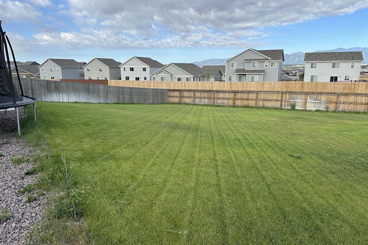 A maintained front lawn on a residential street in Colorado Springs