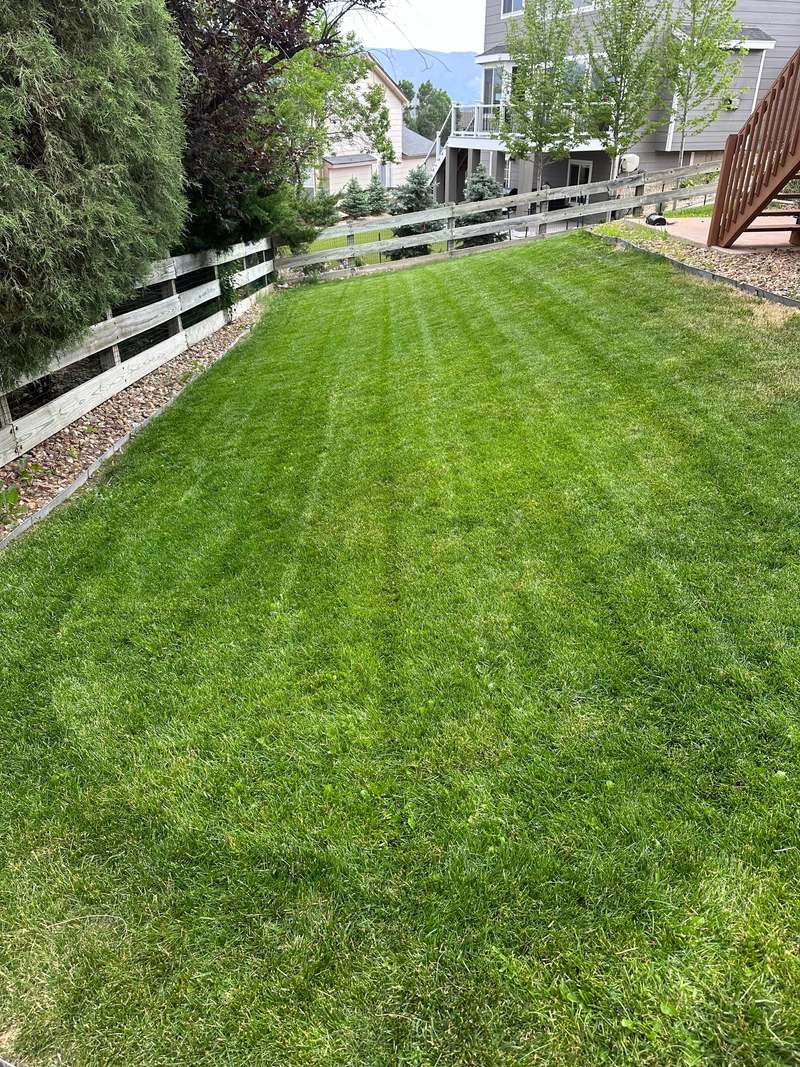 A side lawn mown in stripes, running between a timber rail fence and a raised deck